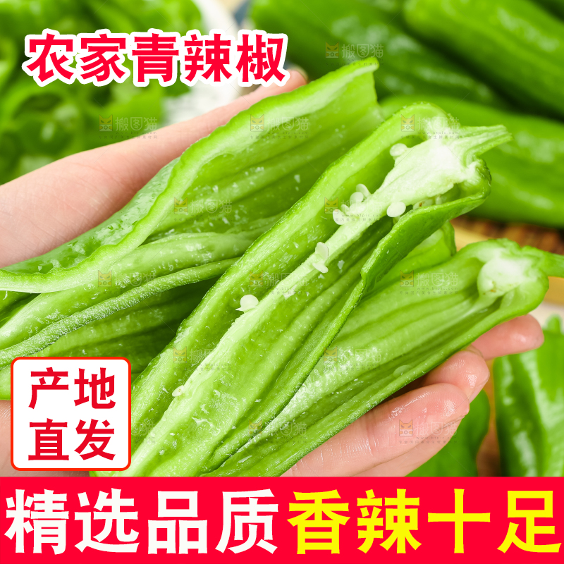 手里拿着青椒