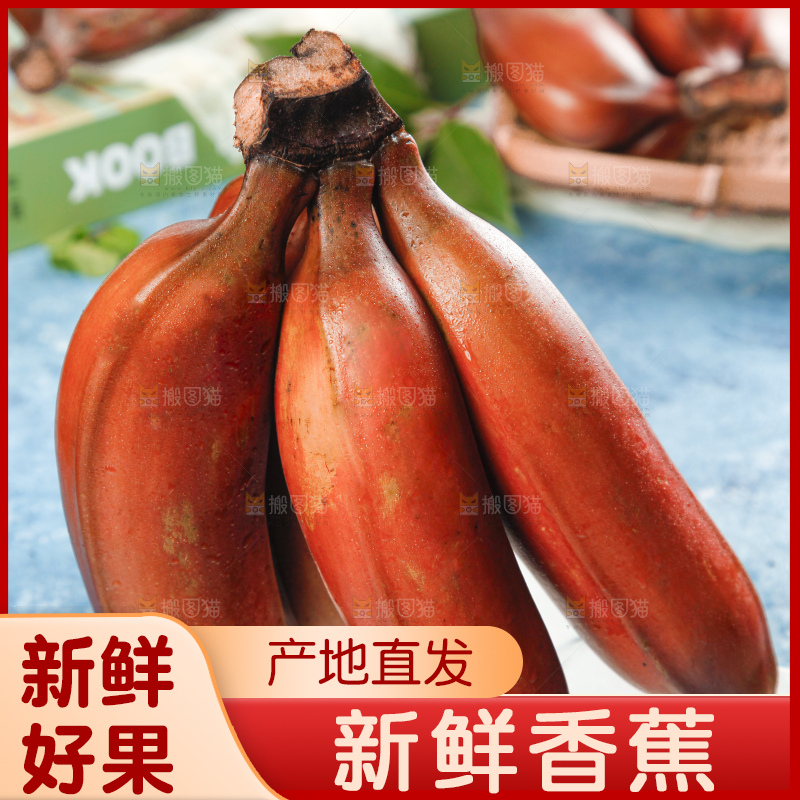 蓝底上摆放着红皮美人蕉