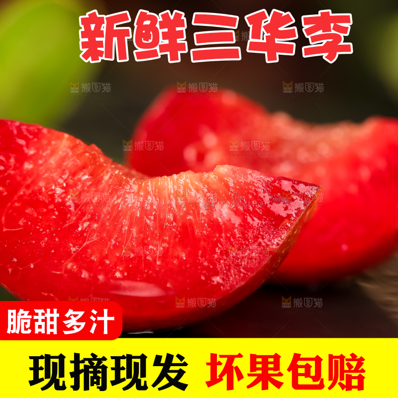 石板上放着钱排三华李