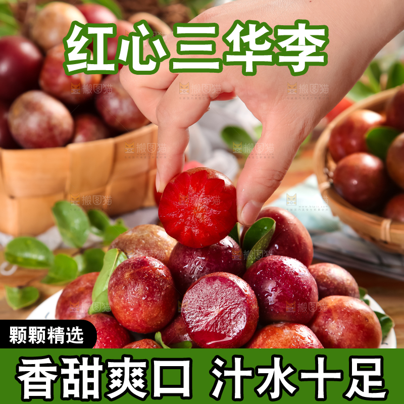 盘子里装着钱排三华李