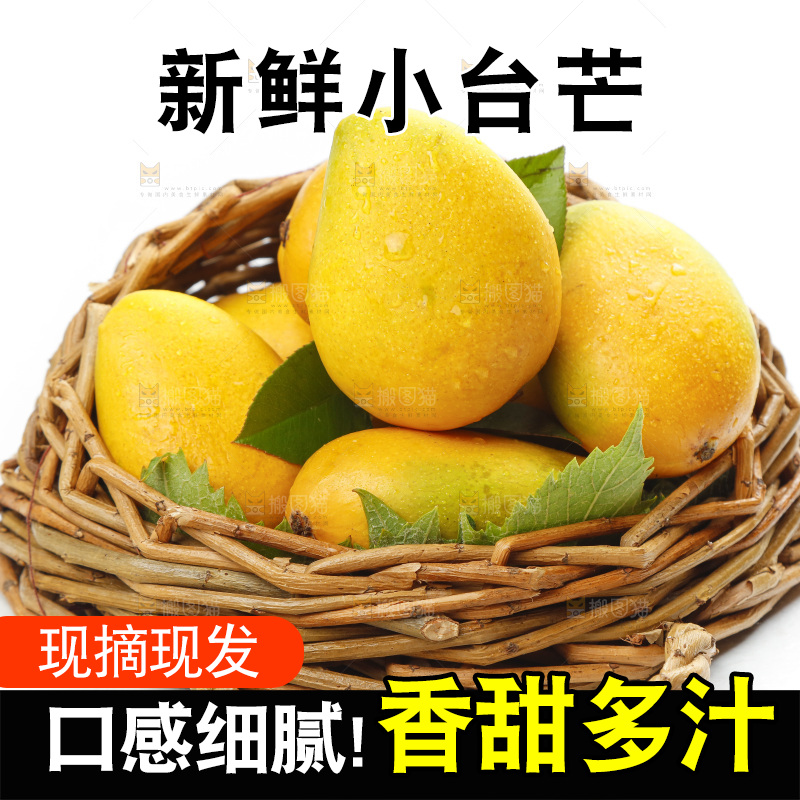 篮子里装着海南台农芒果