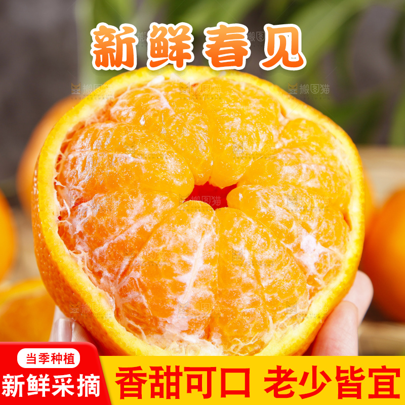 木板上的春见耙耙柑