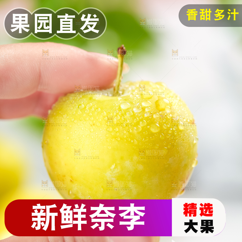 亮底上的九峰山黄金奈李