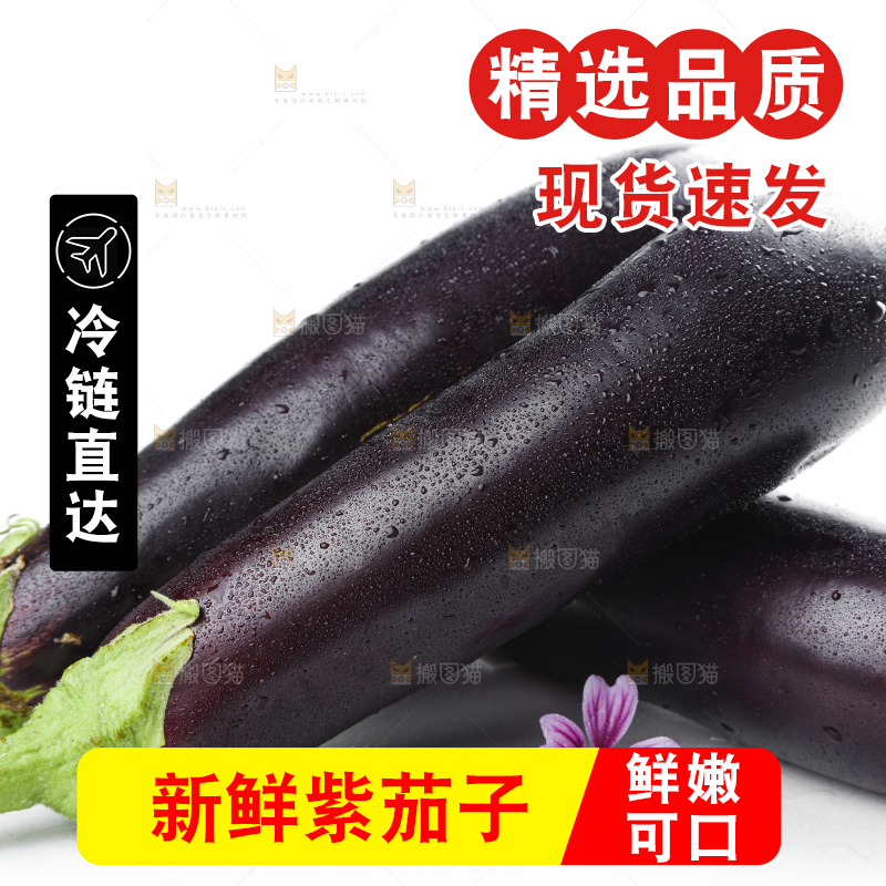 白底上摆放着紫茄子