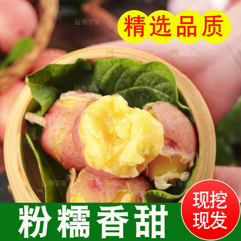手里捧着一笼土豆