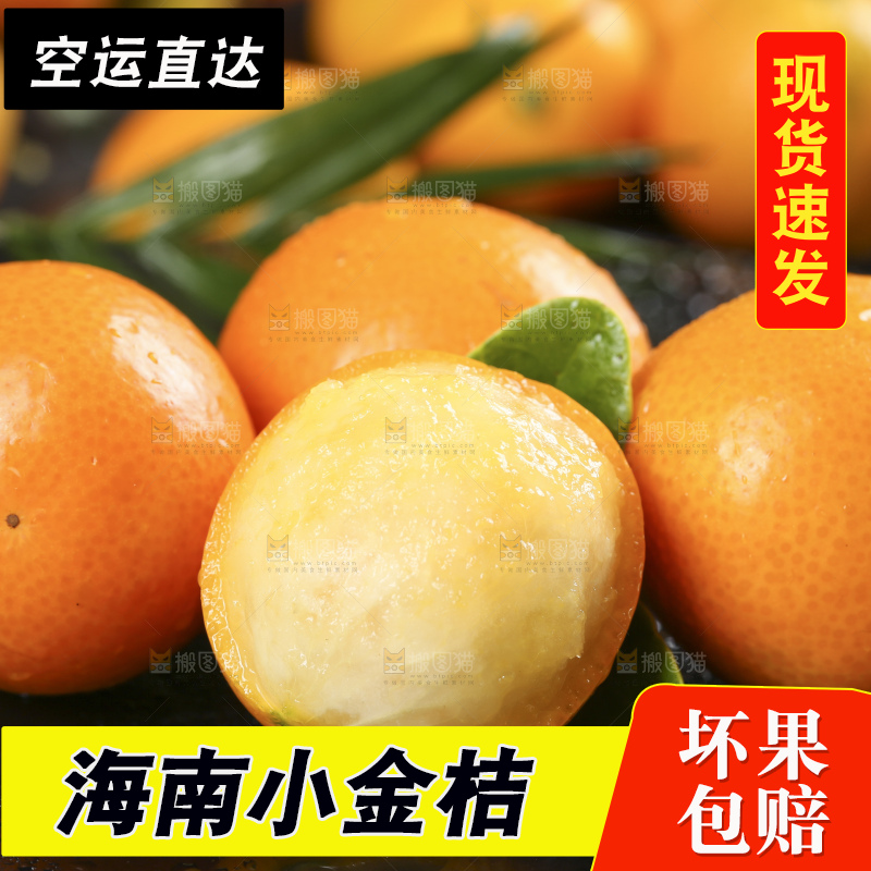 黑石板上的广西金钱橘