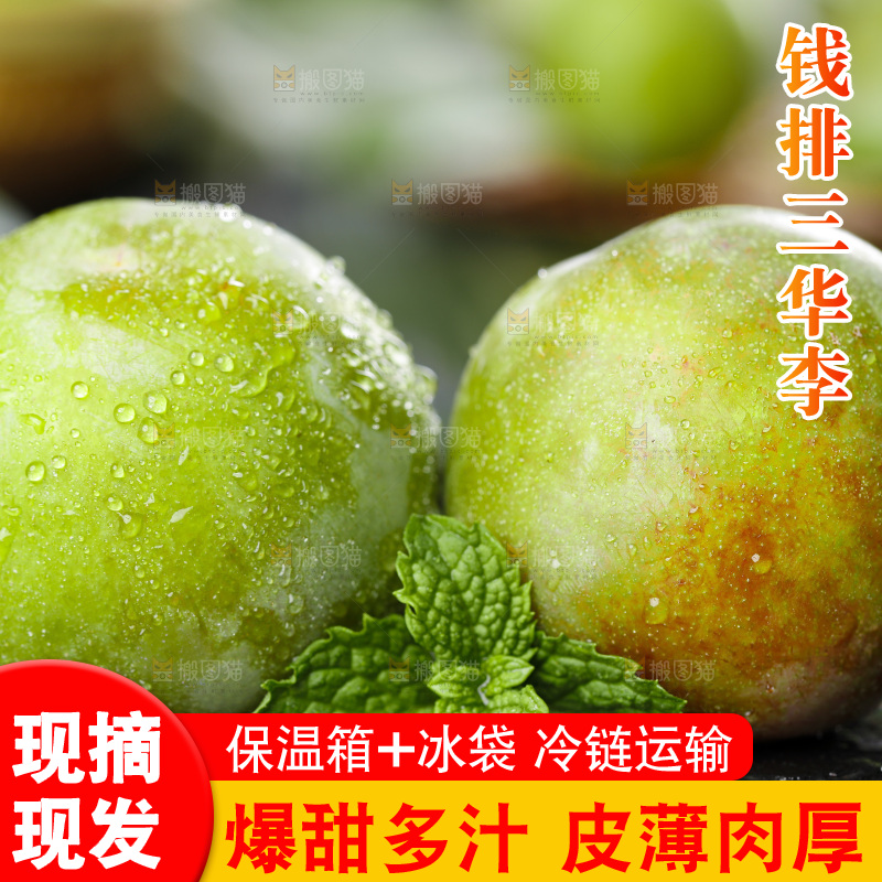 石板上的红肉三华李