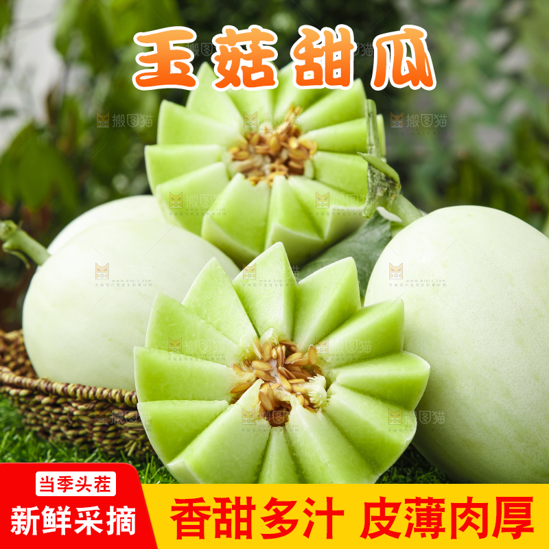 绿草地上摆放着玉菇甜瓜