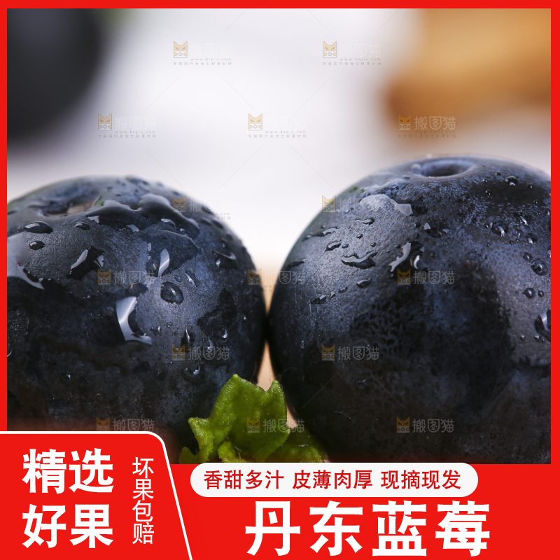 木底上摆放着进口蓝莓