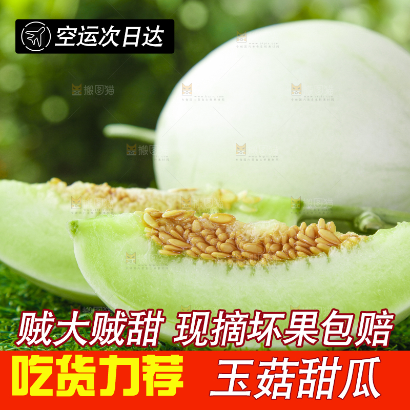 绿草地上摆放着玉菇甜瓜