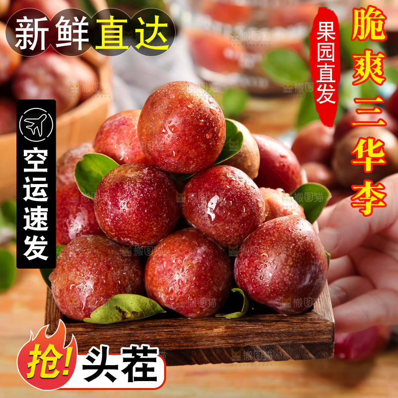 盘子里装着钱排三华李