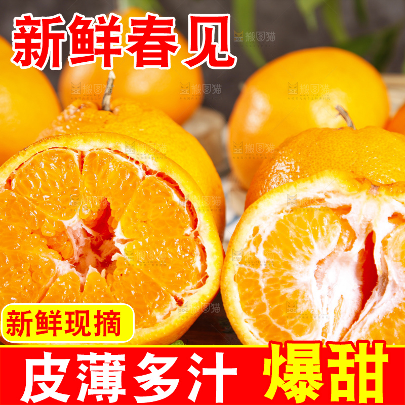 木板上的春见耙耙柑