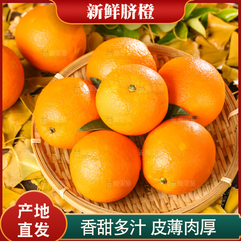 深底上放着秭归脐橙
