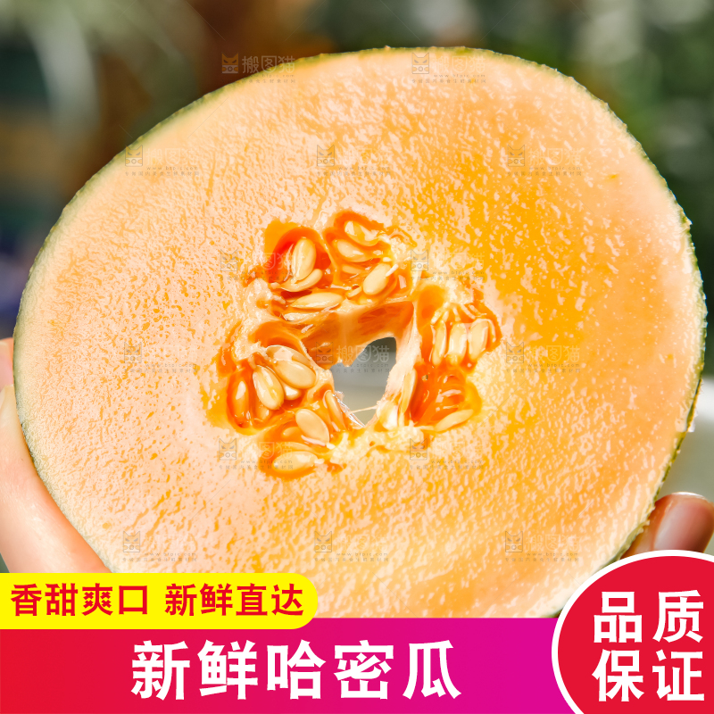 手里拿着一块哈密瓜