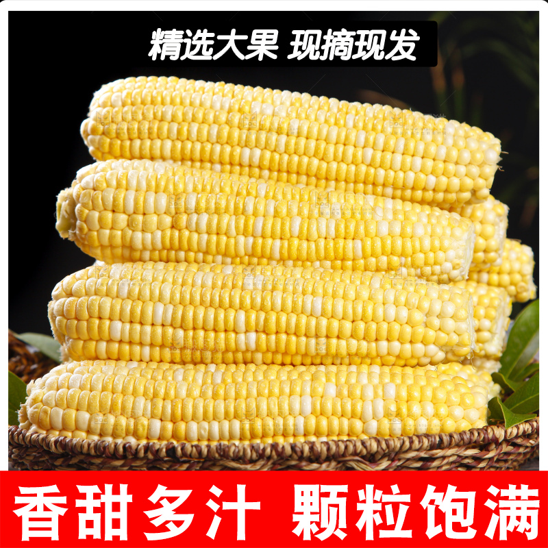黑底上的云南水果玉米
