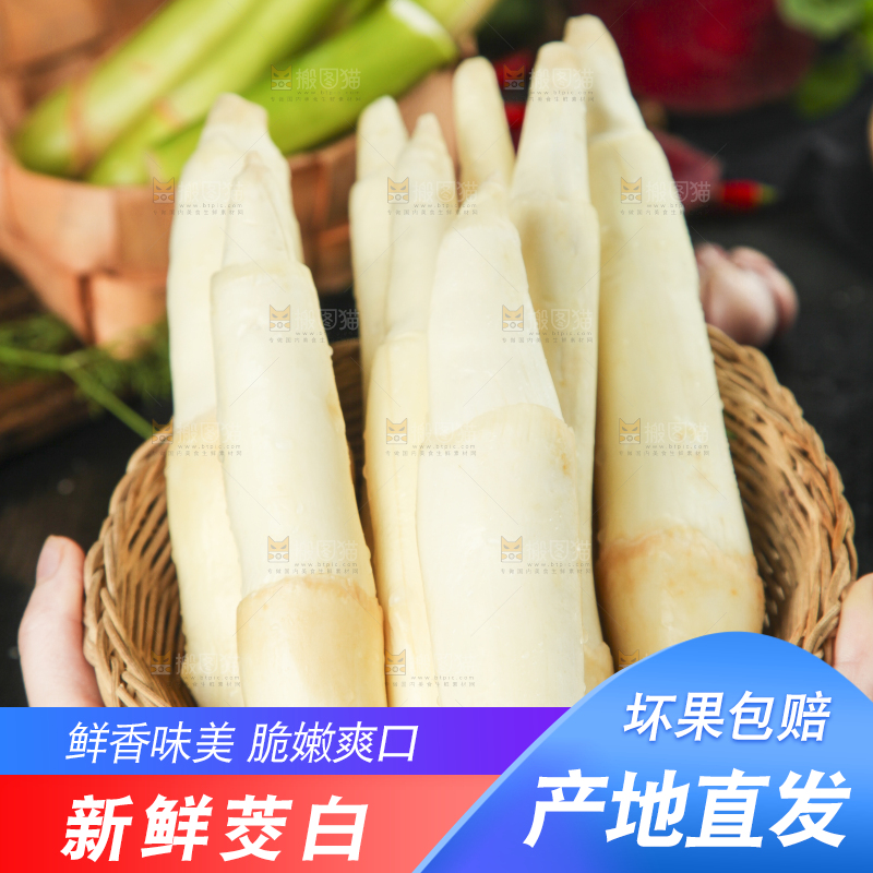 手里拿着茭瓜