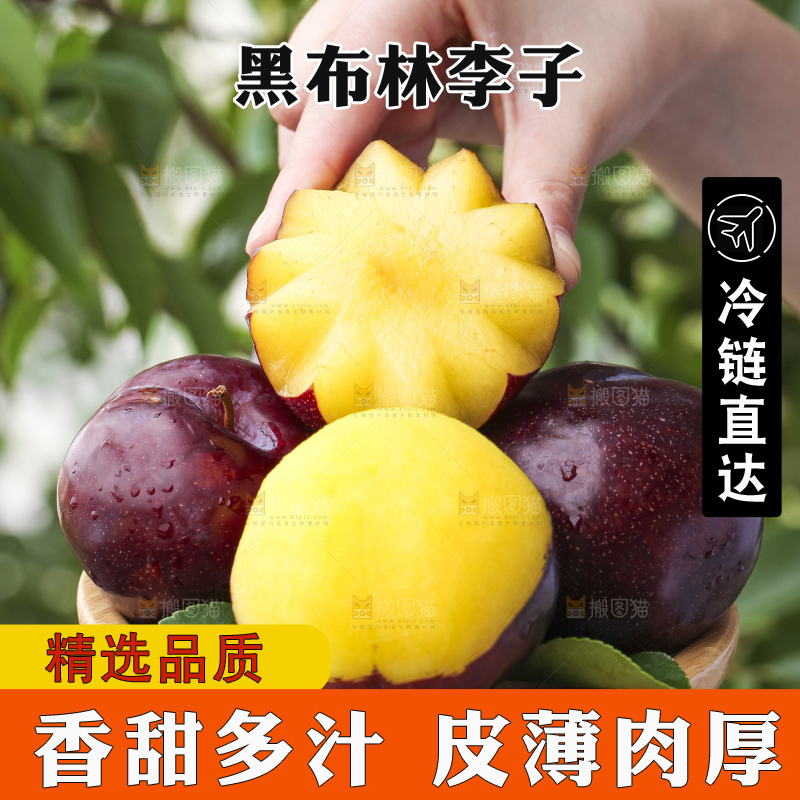 手里拿着一盘黑布林