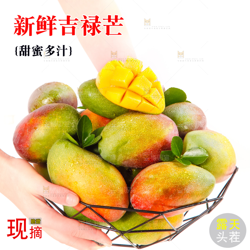 篮子里放着吉禄芒