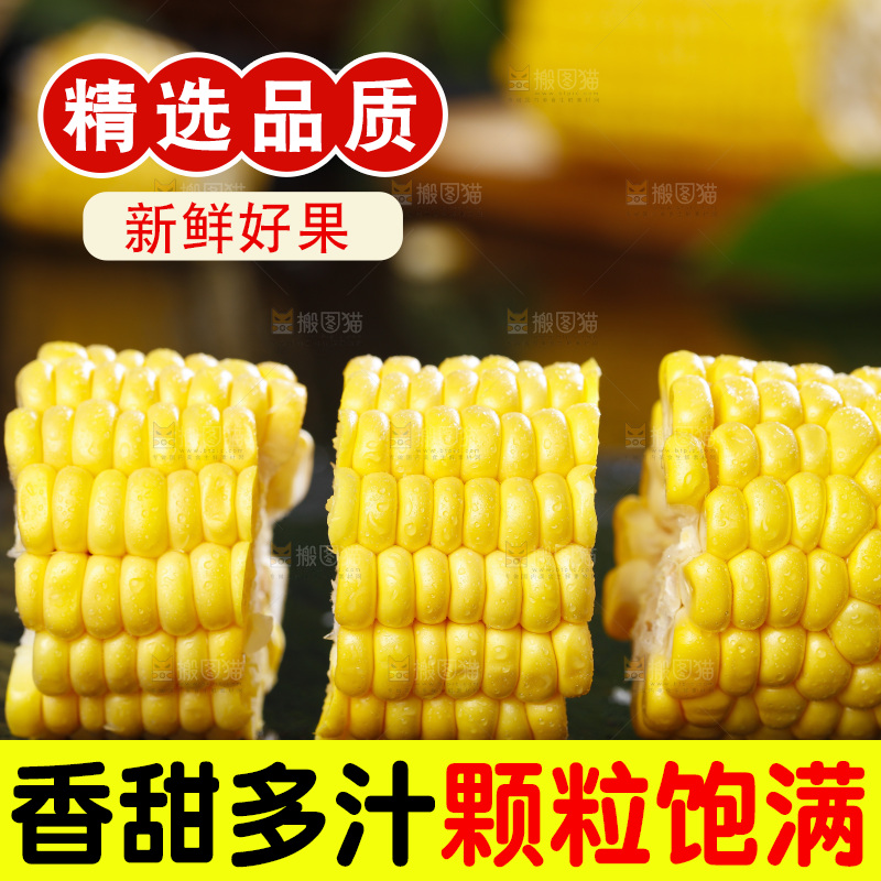 黑石板上的东北玉米