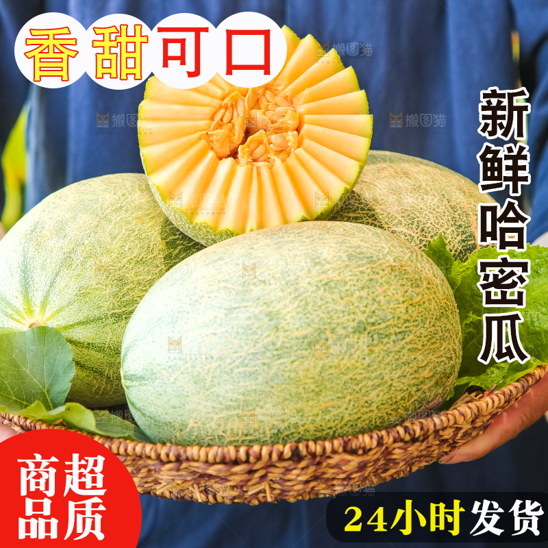 手里端着一篮网纹瓜