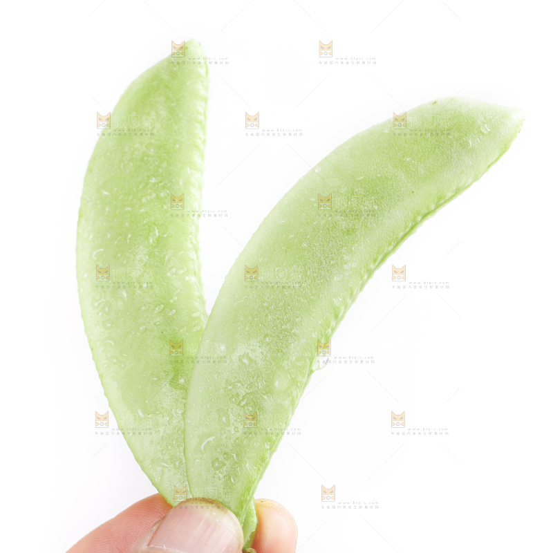 手里拿着扁豆角