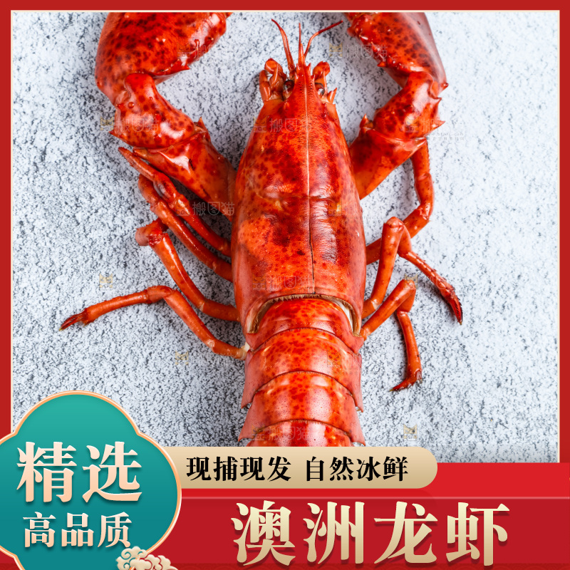 石板上的波士顿大龙虾