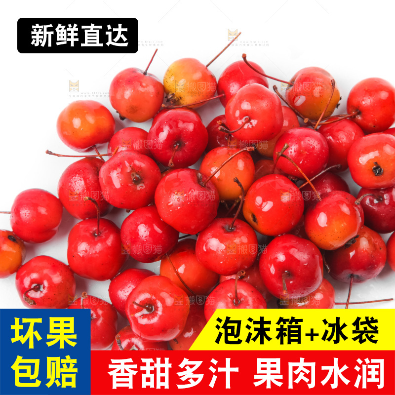 白底上的东北海棠果