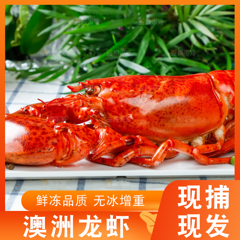 格子布上放着一盘大龙虾