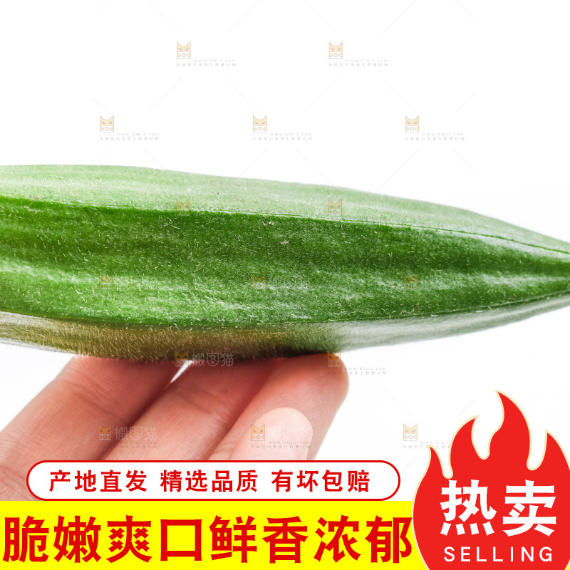 白底上的新鲜秋葵