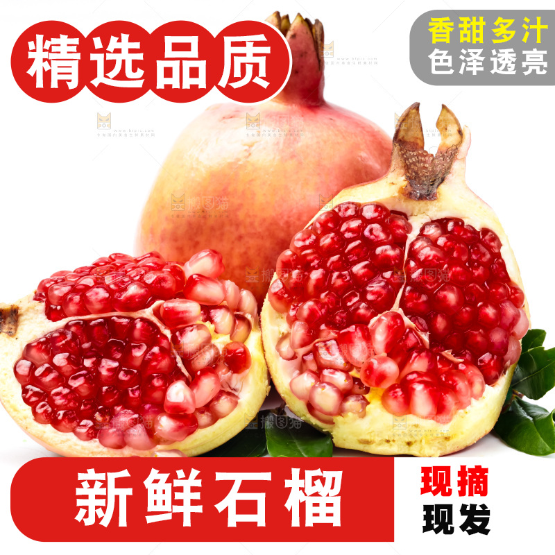 白底上放着软籽石榴