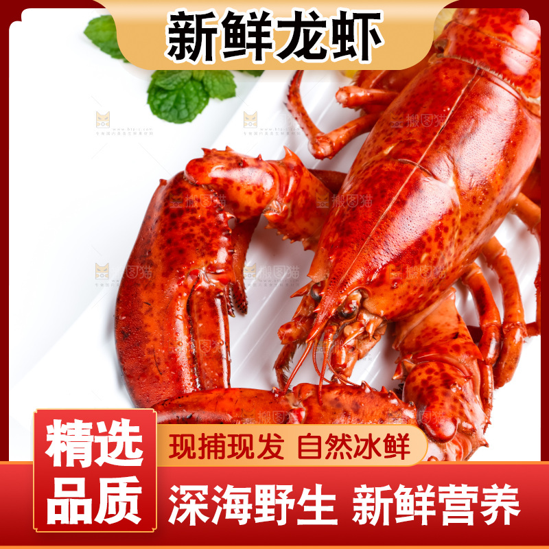 浅底上放着波士顿大龙虾