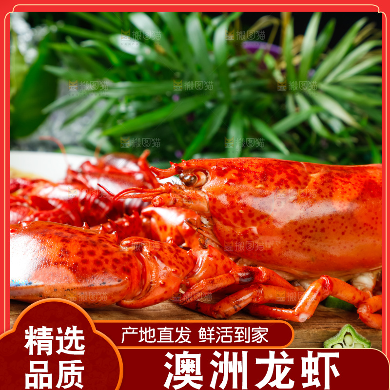 格子布上放着一盘大龙虾