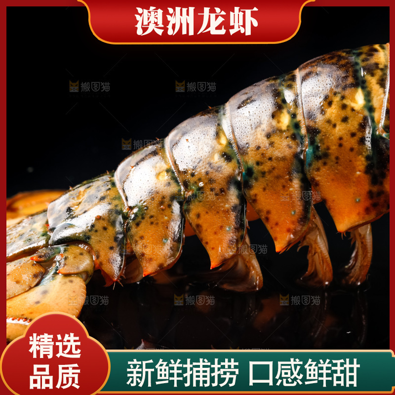 黑底上放着波士顿龙虾