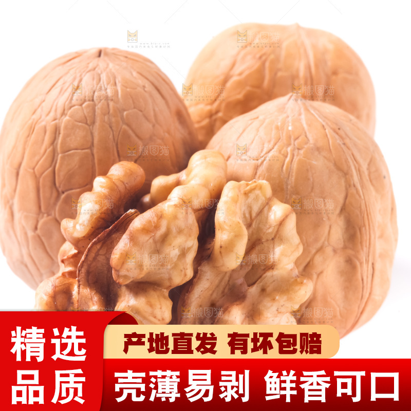 白底上的新疆核桃