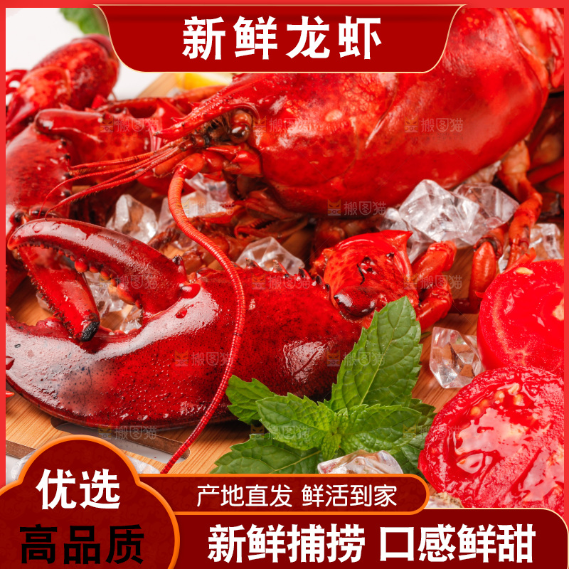 白底上的大龙虾