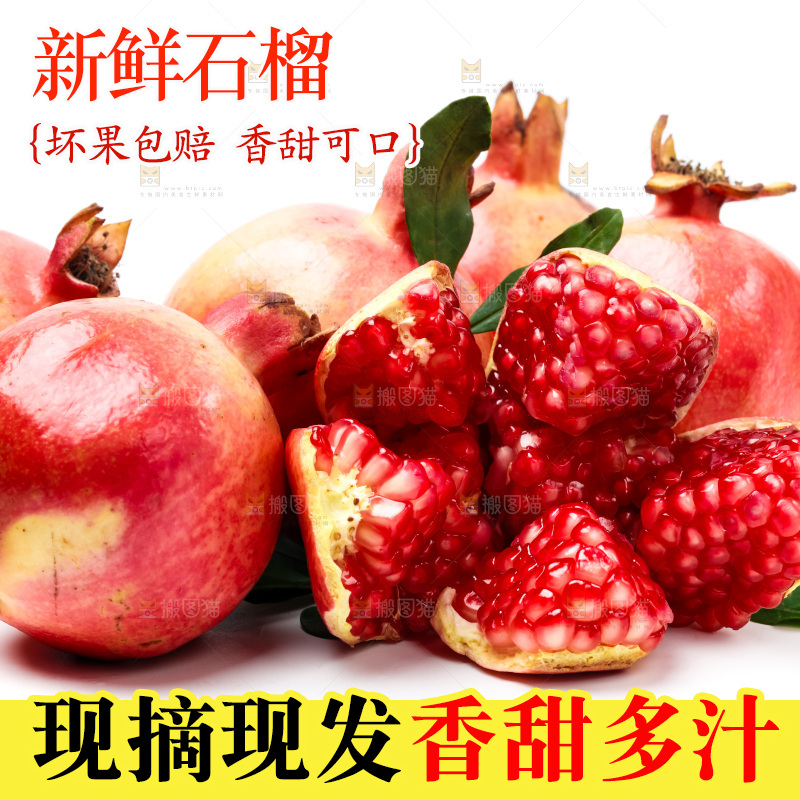 白底上放着突尼斯软籽石榴