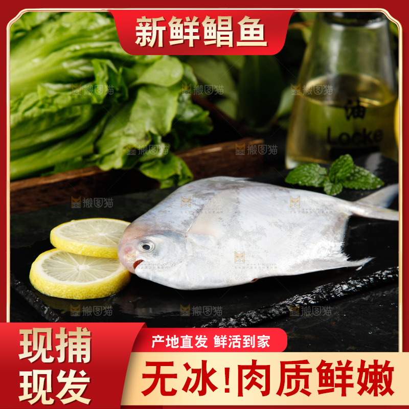 深底上放着银鲳鱼