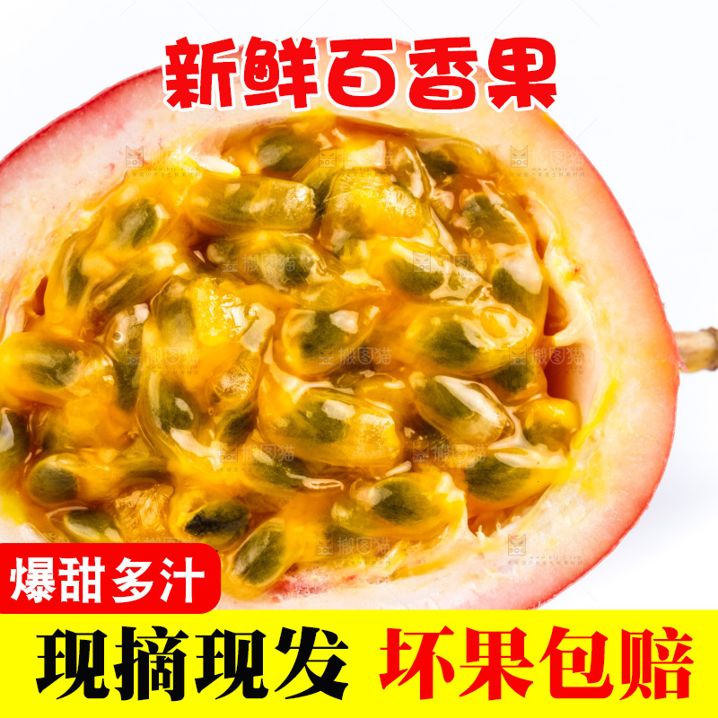 紫皮百香果放在白底上
