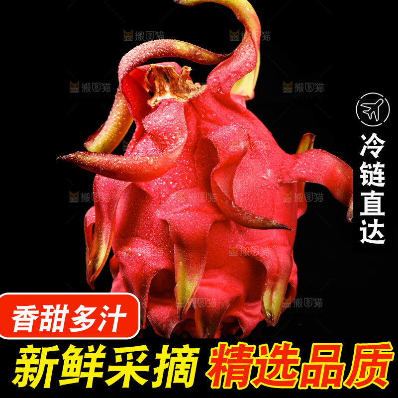 黑底上的火龙果