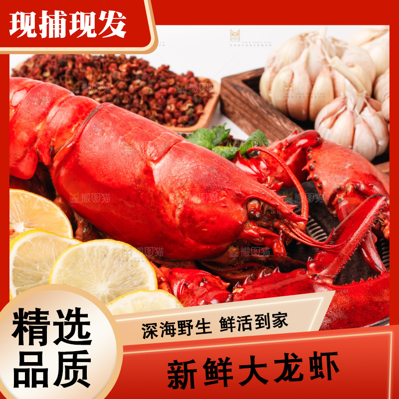 白底上放着一盘波士顿大龙虾