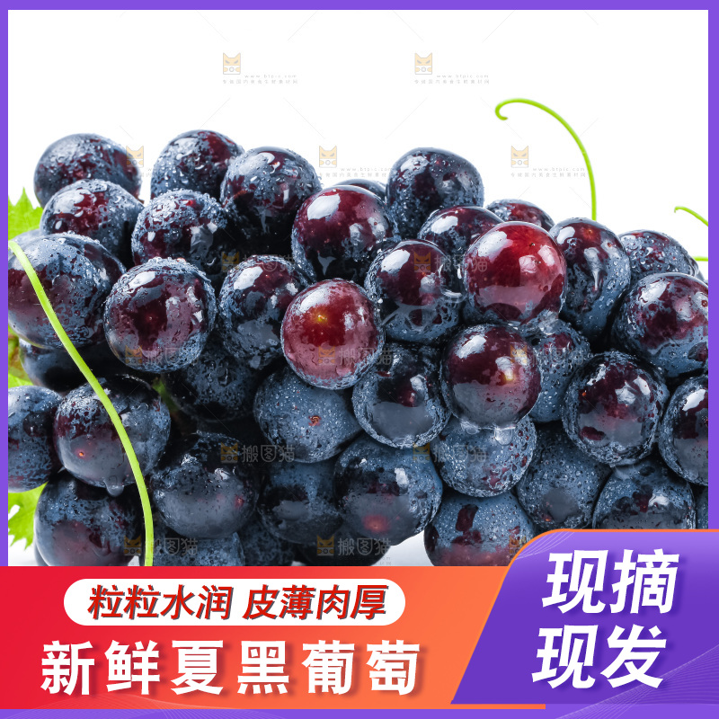 白底上的夏黑葡萄