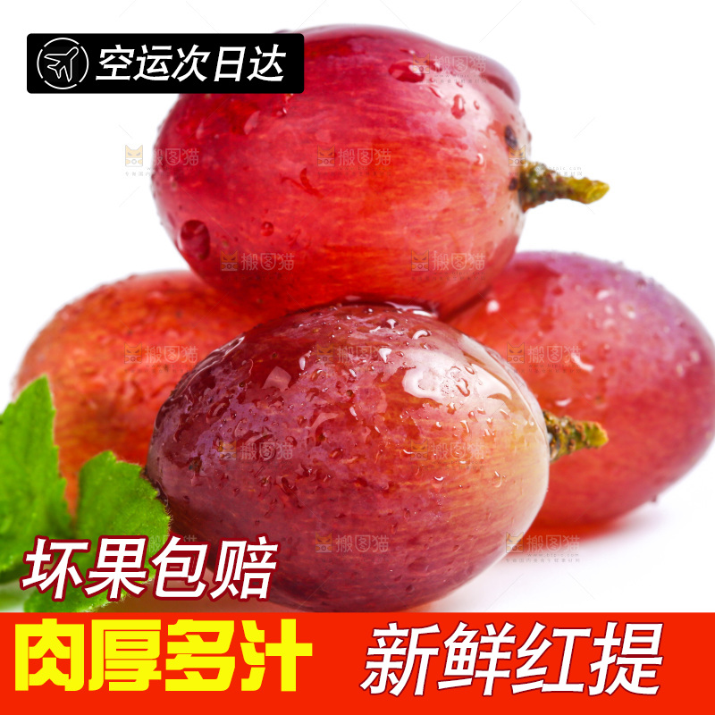 新鲜提子放在白底上