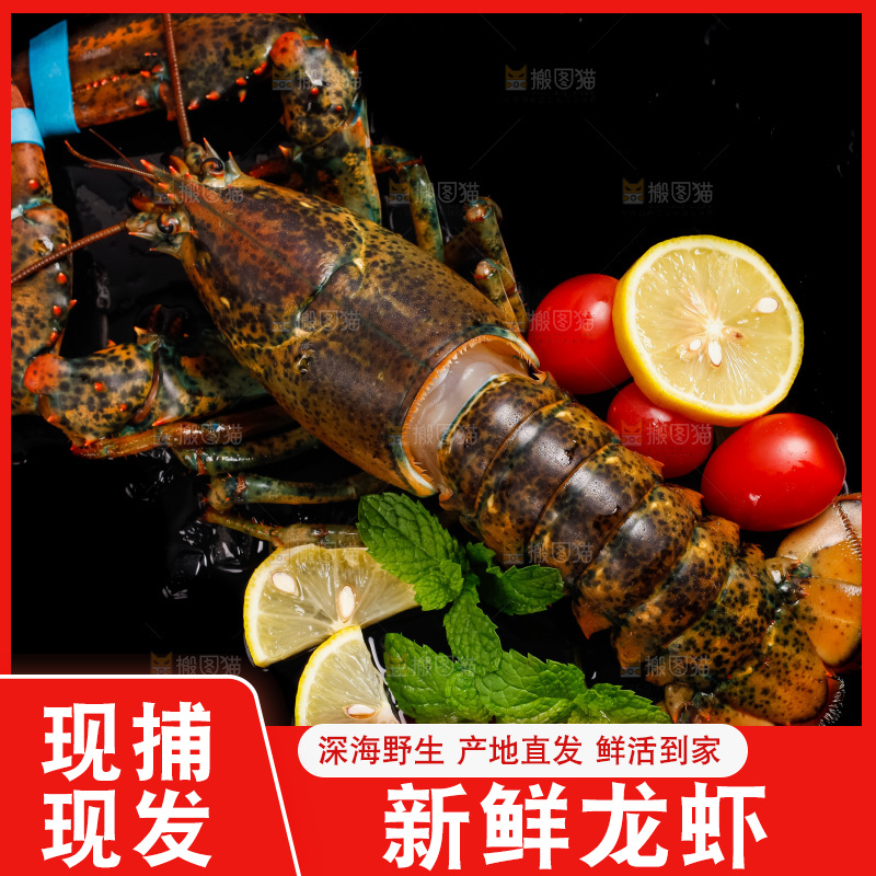 黑底上放着波士顿龙虾