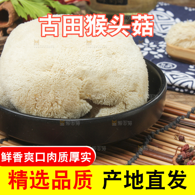 盘子里装着新鲜猴头菇