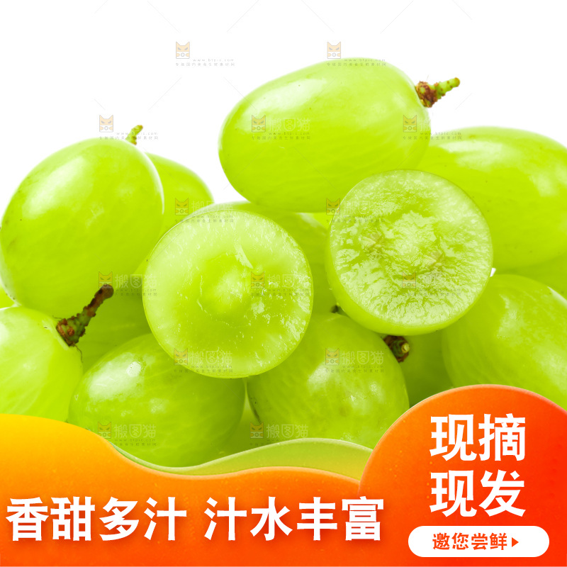 白底上的青提