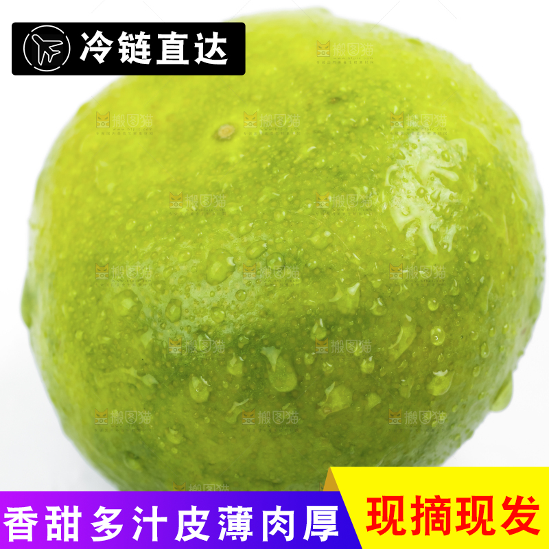 白底上的青皮蜜橘
