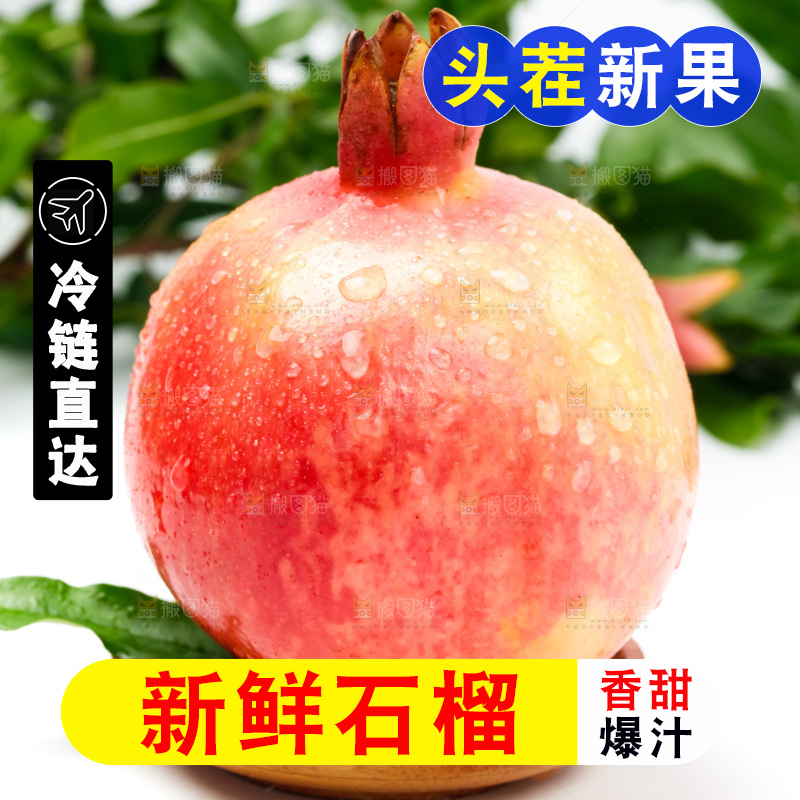 浅底上的软籽石榴