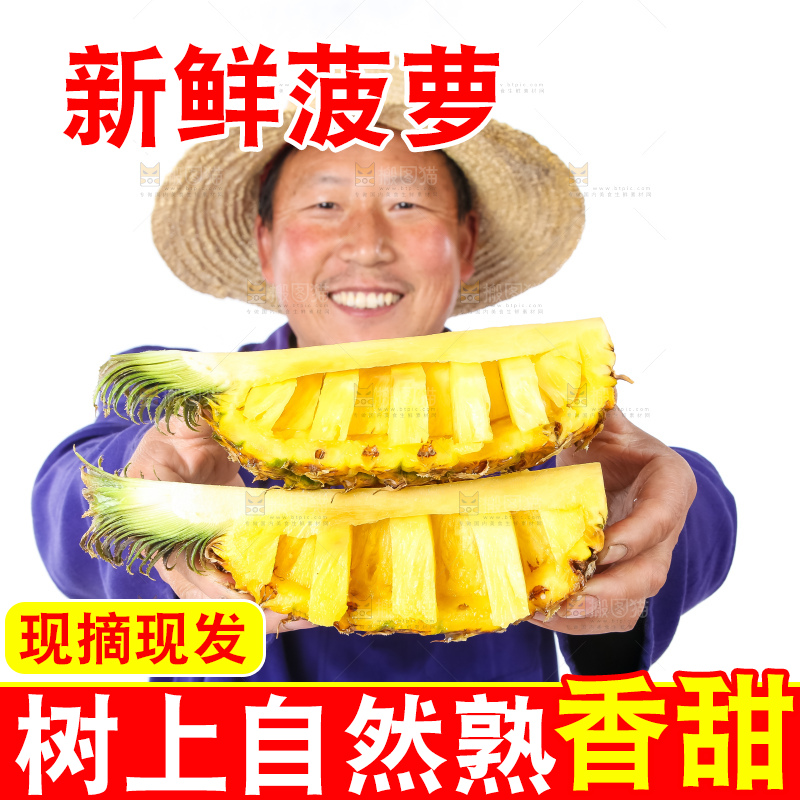 农民手里拿着香水菠萝