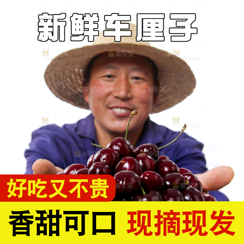 篮子里装着智利车厘子