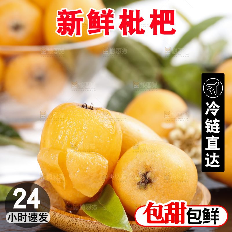 石板上的云南蒙自枇杷